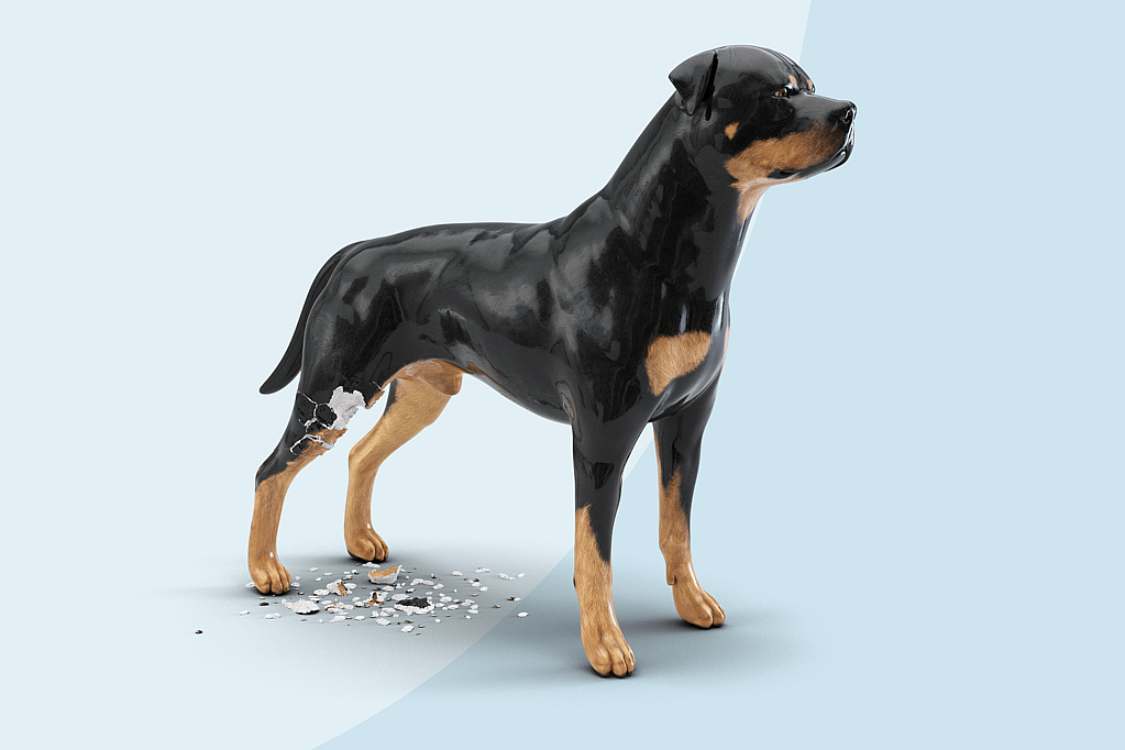 Rottweilerstaty i porslin.