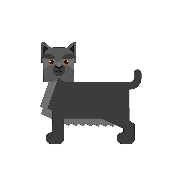 Teckning på en cairnterrier.