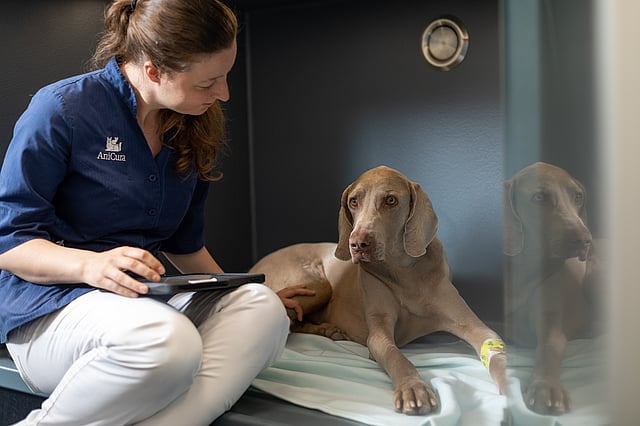 A person sitting on a bed with a dog.
