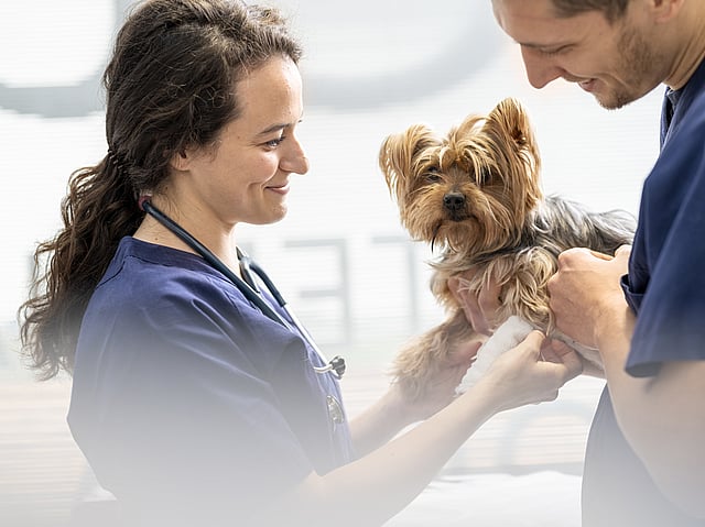 En person och en person som håller en hund.