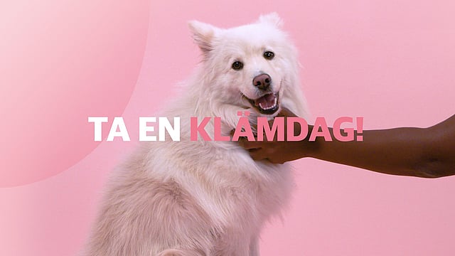 En hand klappar en hund.
