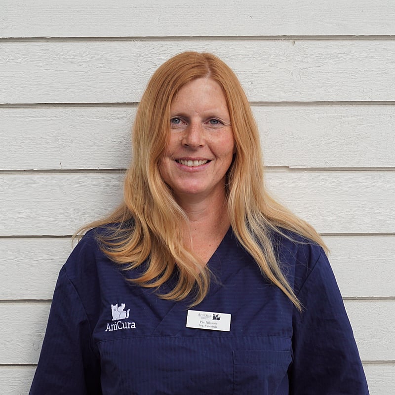 Foto av Pia Nilsson, Legitimerad Veterinär